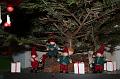 2013-12-14 Zelie mange du pain, les garcons decore le sapin 019